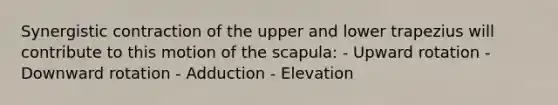 Synergistic contraction of the upper and lower trapezius will contribute to this motion of the scapula: - Upward rotation - Downward rotation - Adduction - Elevation