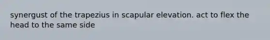 synergust of the trapezius in scapular elevation. act to flex the head to the same side