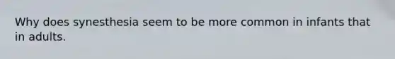 Why does synesthesia seem to be more common in infants that in adults.