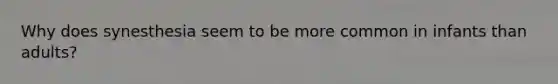 Why does synesthesia seem to be more common in infants than adults?