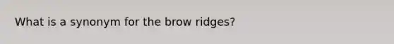 What is a synonym for the brow ridges?