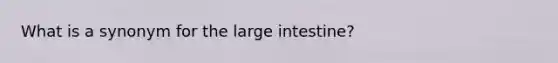 What is a synonym for the large intestine?