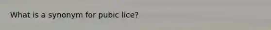 What is a synonym for pubic lice?