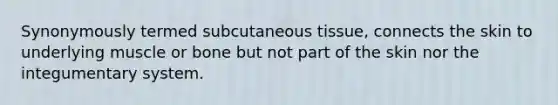 Synonymously termed subcutaneous tissue, connects the skin to underlying muscle or bone but not part of the skin nor the integumentary system.