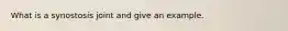 What is a synostosis joint and give an example.