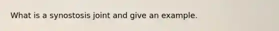 What is a synostosis joint and give an example.