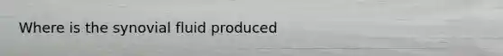 Where is the synovial fluid produced