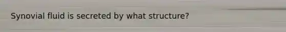 Synovial fluid is secreted by what structure?