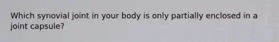 Which synovial joint in your body is only partially enclosed in a joint capsule?