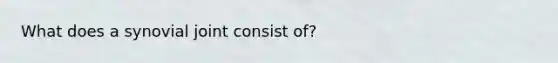 What does a synovial joint consist of?