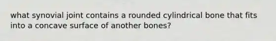 what synovial joint contains a rounded cylindrical bone that fits into a concave surface of another bones?