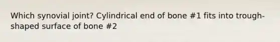 Which synovial joint? Cylindrical end of bone #1 fits into trough-shaped surface of bone #2