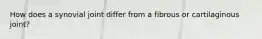 How does a synovial joint differ from a fibrous or cartilaginous joint?
