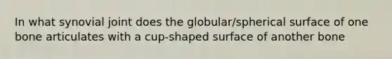 In what synovial joint does the globular/spherical surface of one bone articulates with a cup-shaped surface of another bone