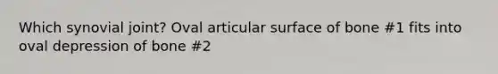 Which synovial joint? Oval articular surface of bone #1 fits into oval depression of bone #2