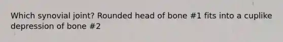 Which synovial joint? Rounded head of bone #1 fits into a cuplike depression of bone #2
