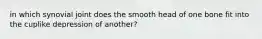 in which synovial joint does the smooth head of one bone fit into the cuplike depression of another?