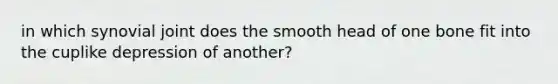 in which synovial joint does the smooth head of one bone fit into the cuplike depression of another?