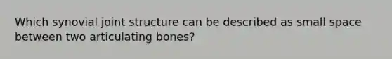 Which synovial joint structure can be described as small space between two articulating bones?