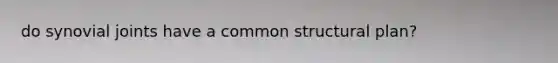do synovial joints have a common structural plan?