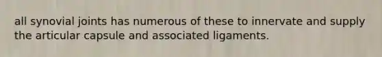 all synovial joints has numerous of these to innervate and supply the articular capsule and associated ligaments.