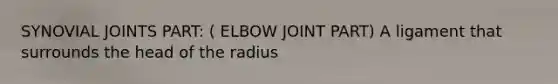 SYNOVIAL JOINTS PART: ( ELBOW JOINT PART) A ligament that surrounds the head of the radius