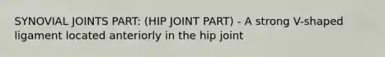 SYNOVIAL JOINTS PART: (HIP JOINT PART) - A strong V-shaped ligament located anteriorly in the hip joint