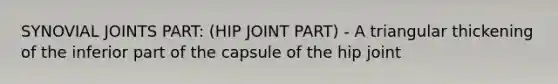 SYNOVIAL JOINTS PART: (HIP JOINT PART) - A triangular thickening of the inferior part of the capsule of the hip joint