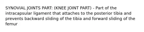 SYNOVIAL JOINTS PART: (KNEE JOINT PART) - Part of the intracapsular ligament that attaches to the posterior tibia and prevents backward sliding of the tibia and forward sliding of the femur