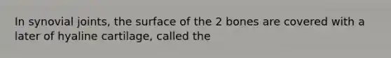 In synovial joints, the surface of the 2 bones are covered with a later of hyaline cartilage, called the