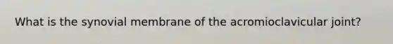What is the synovial membrane of the acromioclavicular joint?