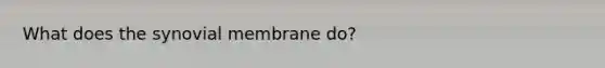What does the synovial membrane do?