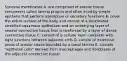 Synovial membranes A. are comprised of areolar tissue component called lamina propria and often lined by simple epithelia that perform absorptive or secretory functions B. cover the entire surface of the body and consist of a keratinized stratified squamous epithelium and an underlying layer of areolar connective tissue that is reinforced by a layer of dense connective tissue C. consist of a cellular layer complete with tight junctions between adjacent cells D. consist of extensive areas of areolar tissue bounded by a basal lamina E. contain "epithelial cells" derived from macrophages and fibroblasts of the adjacent connective tissue