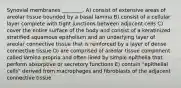 Synovial membranes ________. A) consist of extensive areas of areolar tissue bounded by a basal lamina B) consist of a cellular layer complete with tight junctions between adjacent cells C) cover the entire surface of the body and consist of a keratinized stratified squamous epithelium and an underlying layer of areolar connective tissue that is reinforced by a layer of dense connective tissue D) are comprised of areolar tissue component called lamina propria and often lined by simple epithelia that perform absorptive or secretory functions E) contain "epithelial cells" derived from macrophages and fibroblasts of the adjacent connective tissue