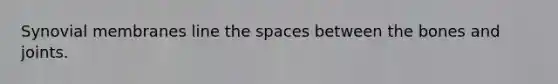 Synovial membranes line <a href='https://www.questionai.com/knowledge/k0Lyloclid-the-space' class='anchor-knowledge'>the space</a>s between the bones and joints.