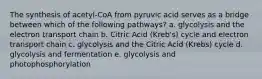 The synthesis of acetyl-CoA from pyruvic acid serves as a bridge between which of the following pathways? a. glycolysis and the electron transport chain b. Citric Acid (Kreb's) cycle and electron transport chain c. glycolysis and the Citric Acid (Krebs) cycle d. glycolysis and fermentation e. glycolysis and photophosphorylation