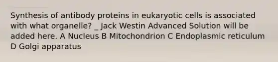 Synthesis of antibody proteins in eukaryotic cells is associated with what organelle? _ Jack Westin Advanced Solution will be added here. A Nucleus B Mitochondrion C Endoplasmic reticulum D Golgi apparatus