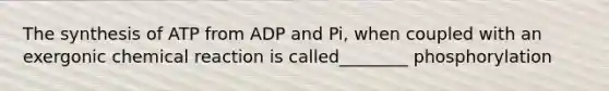 The synthesis of ATP from ADP and Pi, when coupled with an exergonic chemical reaction is called________ phosphorylation