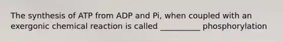 The synthesis of ATP from ADP and Pi, when coupled with an exergonic chemical reaction is called __________ phosphorylation