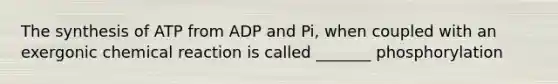 The synthesis of ATP from ADP and Pi, when coupled with an exergonic chemical reaction is called _______ phosphorylation