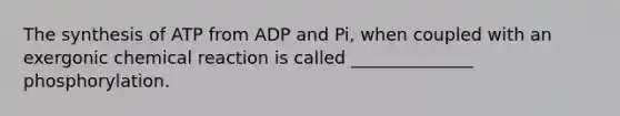 The synthesis of ATP from ADP and Pi, when coupled with an exergonic chemical reaction is called ______________ phosphorylation.