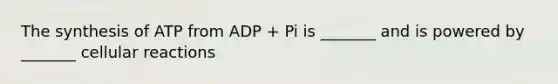 The synthesis of ATP from ADP + Pi is _______ and is powered by _______ cellular reactions