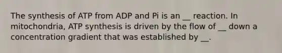 The synthesis of ATP from ADP and Pi is an __ reaction. In mitochondria, ATP synthesis is driven by the flow of __ down a concentration gradient that was established by __.