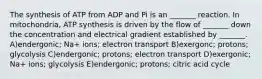 The synthesis of ATP from ADP and Pi is an _______ reaction. In mitochondria, ATP synthesis is driven by the flow of _______ down the concentration and electrical gradient established by _______. A)endergonic; Na+ ions; electron transport B)exergonc; protons; glycolysis C)endergonic; protons; electron transport D)exergonic; Na+ ions; glycolysis E)endergonic; protons; citric acid cycle