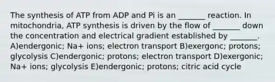 The synthesis of ATP from ADP and Pi is an _______ reaction. In mitochondria, ATP synthesis is driven by the flow of _______ down the concentration and electrical gradient established by _______. A)endergonic; Na+ ions; electron transport B)exergonc; protons; glycolysis C)endergonic; protons; electron transport D)exergonic; Na+ ions; glycolysis E)endergonic; protons; citric acid cycle