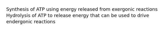 Synthesis of ATP using energy released from exergonic reactions Hydrolysis of ATP to release energy that can be used to drive endergonic reactions