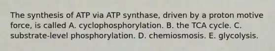 The synthesis of ATP via ATP synthase, driven by a proton motive force, is called A. cyclophosphorylation. B. the TCA cycle. C. substrate-level phosphorylation. D. chemiosmosis. E. glycolysis.