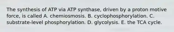 The synthesis of ATP via ATP synthase, driven by a proton motive force, is called A. chemiosmosis. B. cyclophosphorylation. C. substrate-level phosphorylation. D. glycolysis. E. the TCA cycle.