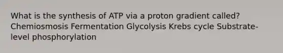 What is the synthesis of ATP via a proton gradient called? Chemiosmosis Fermentation Glycolysis Krebs cycle Substrate-level phosphorylation