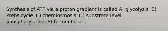 Synthesis of ATP via a proton gradient is called A) glycolysis. B) krebs cycle. C) chemiosmosis. D) substrate-level phosphorylation. E) fermentation.